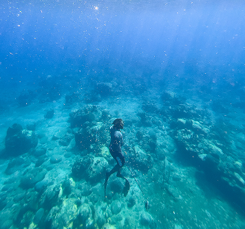 Person in a wetsuit freediving among coral and rocks in clear blue water, with sunlight streaming down from the surface.