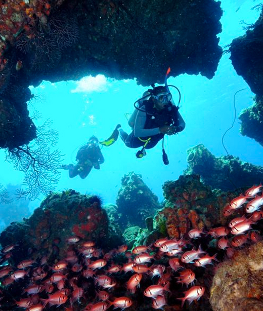Two scuba divers swimming through a coral reef archway surrounded by schools of bright orange fish.